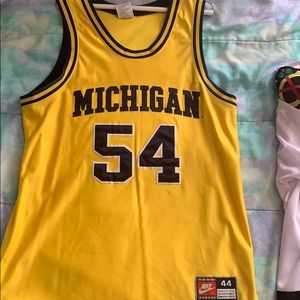 Robert Taylor Michigan Wolverine College Jersey